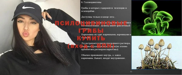 СК Абинск