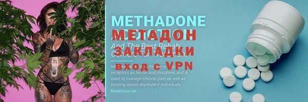 шишки Абаза