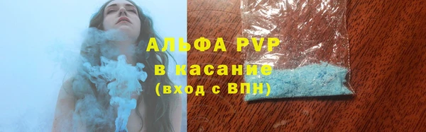 индика Алексеевка