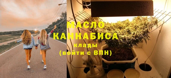 шишки Абаза