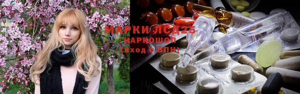 шишки Абаза