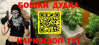 дмт Пушкино