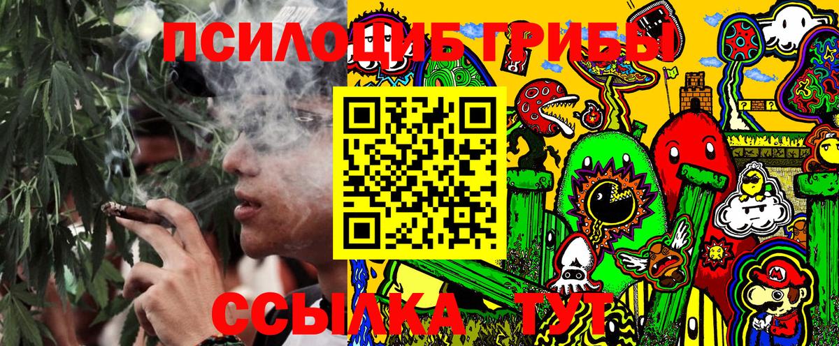 Галлюциногенные грибы GOLDEN TEACHER Сочи