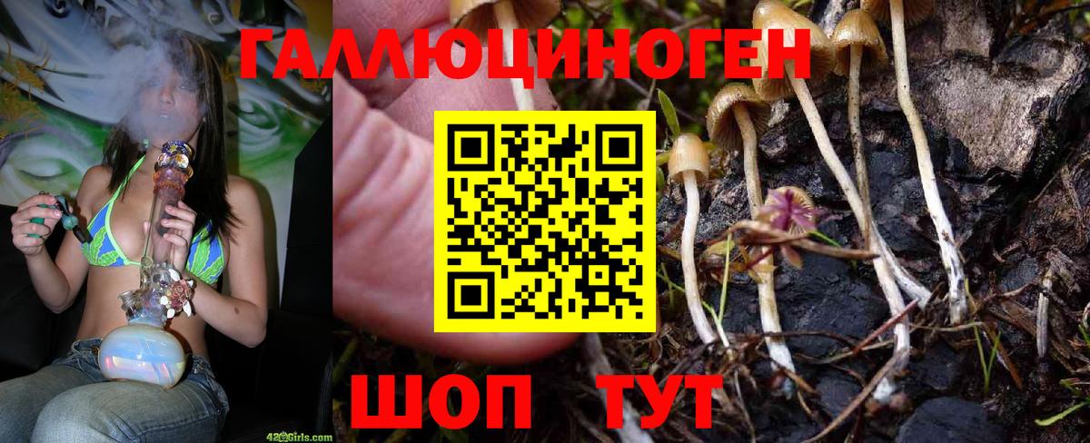 Псилоцибиновые грибы MAGIC MUSHROOMS  Вход с VPN  Сочи 