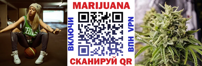 где купить наркотик  Сочи  Канабис план 